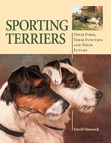 Sporting Terriers: Their Form, Their Function and Their Future