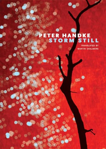 Storm Still (German List) von MACMILLAN