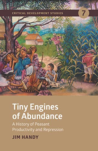 Tiny Engines of Abundance: A History of Peasant Productivity and Repression (Critical Development Studies)