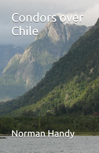 Condors over Chile von Independently published