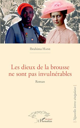 Les dieux de la brousse ne sont pas invulnérables: Roman von Harmattan Sénégal