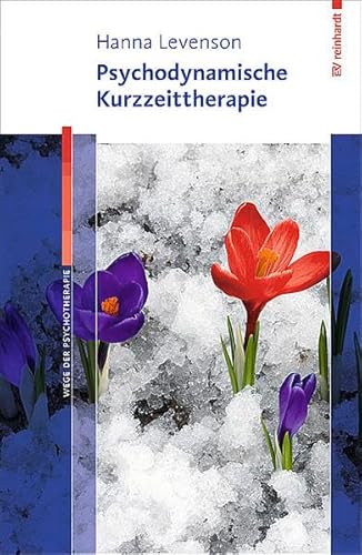 Psychodynamische Kurzzeittherapie (Wege der Psychotherapie)