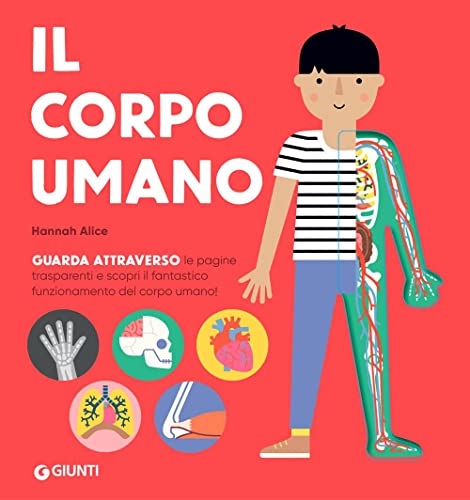 Il corpo umano. Ediz. a colori (Guardare attraverso)