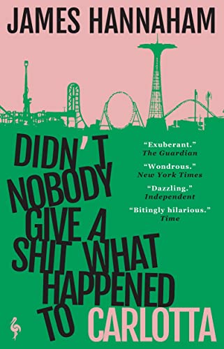 Didn't Nobody Give a Shit What Happened to Carlotta: A Novel von Europa Editions UK Ltd