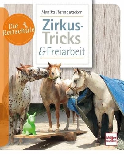 Zirkus-Tricks & Freiarbeit (Die Reitschule) von Mller Rschlikon
