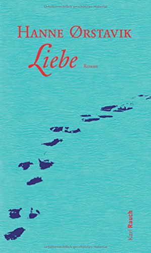 Liebe: Roman von Rauch, Karl Verlag