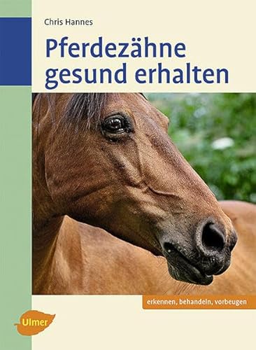 Pferdezähne gesund erhalten