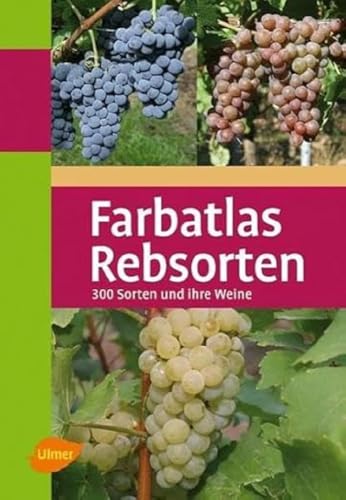 Rebsorten: 300 Sorten und ihre Weine von Ulmer Eugen Verlag