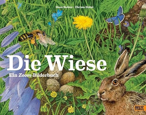 Die Wiese: Ein Zoom-Bilderbuch von Beltz GmbH, Julius