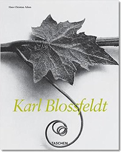 Blossfeldt (Midsize) von Taschen Verlag