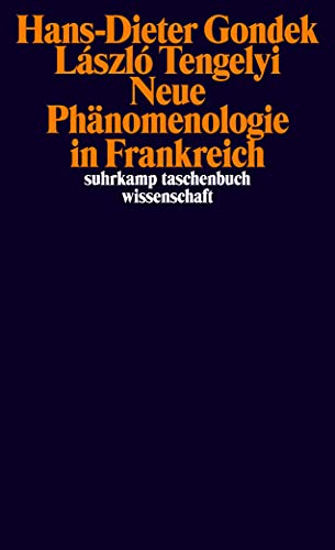 Neue Phänomenologie in Frankreich (suhrkamp taschenbuch wissenschaft)