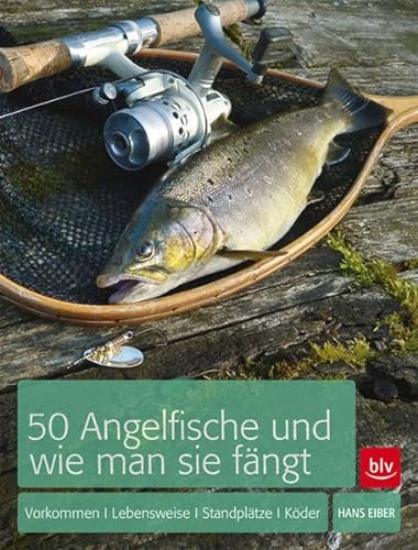 50 Angelfische und wie man sie fängt: Vorkommen, Lebensweise, Standplätze, Köder