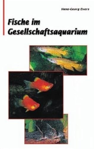 Fische im Gesellschaftsaquarium