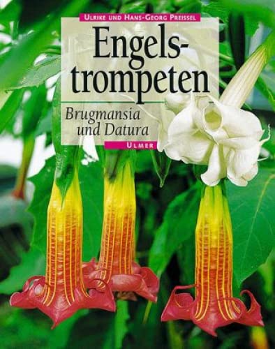 Engelstrompeten. Brugmansia und Datura von Ulmer Eugen Verlag