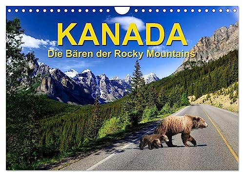 KANADA - Die Bären der Rocky Mountains (Wandkalender 2025 DIN A4 quer), CALVENDO Monatskalender