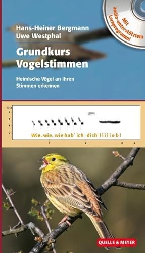 Grundkurs Vogelstimmen: Heimische Vögel an ihren Stimmen erkennen