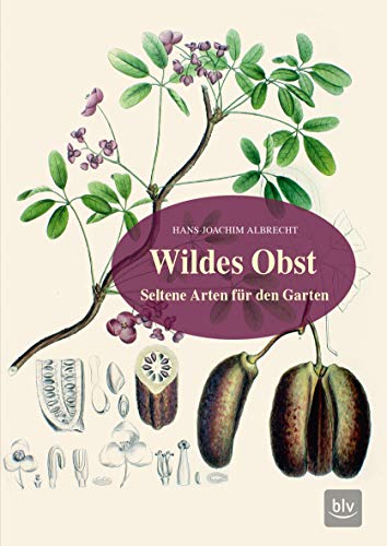 Wildes Obst: Seltene Arten für den Garten (BLV Selbstversorgung) von Gräfe und Unzer