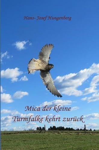 Mica der kleine Turmfalke kehrt zurück