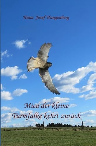 Mica der kleine Turmfalke kehrt zurück von epubli