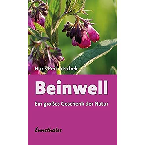 Beinwell: Ein großes Geschenk der Natur: Das große Geschenk der Natur. Eine hervorragende Heilpflanze