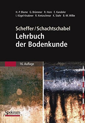 Scheffer/Schachtschabel: Lehrbuch der Bodenkunde von Spektrum Akademischer Verlag