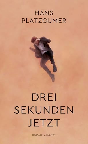 Drei Sekunden Jetzt: Roman von Zsolnay-Verlag