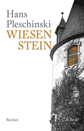 Wiesenstein: Roman von Beck C. H.