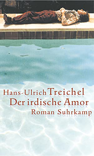 Der irdische Amor: Roman