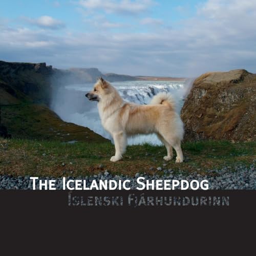The Icelandic Sheepdog: Islenski Fjarhurdurinn The Icelandic Sheepdog: Islenski Fjarhurdurinn von Outskirts Press