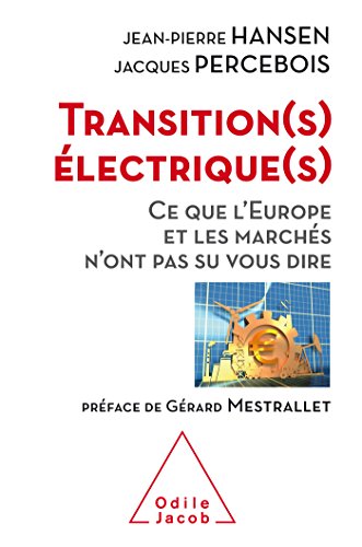 Transitions électriques: Ce que l'Europe et les marchés n'ont pas su nous dire