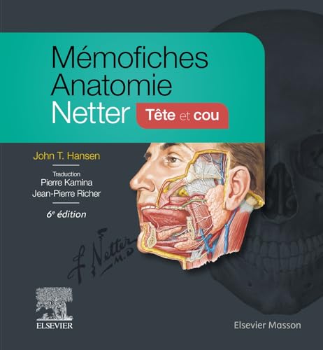 Mémofiches Anatomie Netter - Tête et cou Mémofiches Anatomie Netter - Tête et cou von MASSON