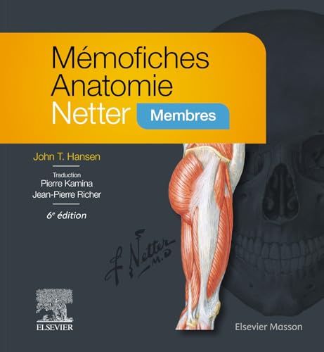 Mémofiches Anatomie Netter - Membres von MASSON