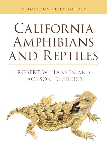 California Amphibians and Reptiles (Princeton Field Guides, 165) von Princeton University Press