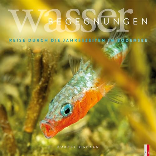 Wasser Begegnungen: Eine Reise durch die Jahreszeiten im Bodensee von AS Verlag