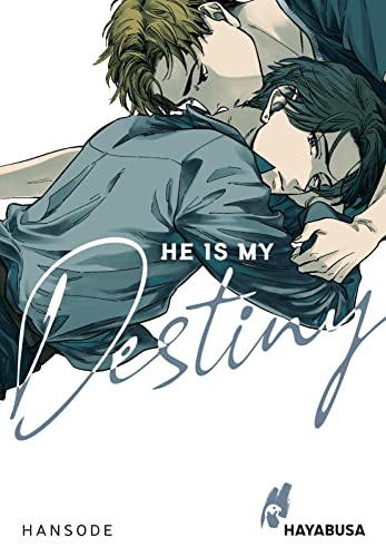 He is my Destiny: Yaoi-Einzelband aus dem Omegaverse ab 16