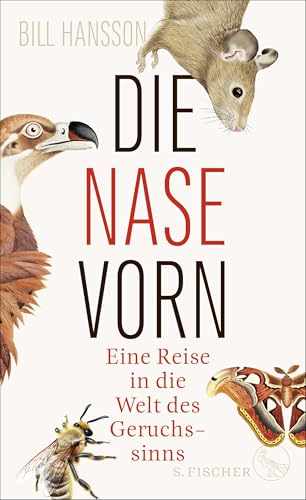 Die Nase vorn: Eine Reise in die Welt des Geruchssinns von FISCHERVERLAGE