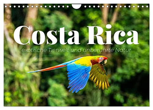 Costa Rica - exotische Tierwelt und unberührte Natur (Wandkalender 2024 DIN A4 quer), CALVENDO Monatskalender: Costa Ricas Schönheit in all seinen Facetten (CALVENDO Orte)