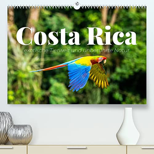 Costa Rica - exotische Tierwelt und unberührte Natur (hochwertiger Premium Wandkalender 2024 DIN A2 quer), Kunstdruck in Hochglanz