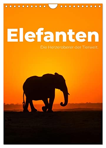 Elefanten - Die Herzeroberer der Tierwelt. (Wandkalender 2024 DIN A4 hoch), CALVENDO Monatskalender von CALVENDO