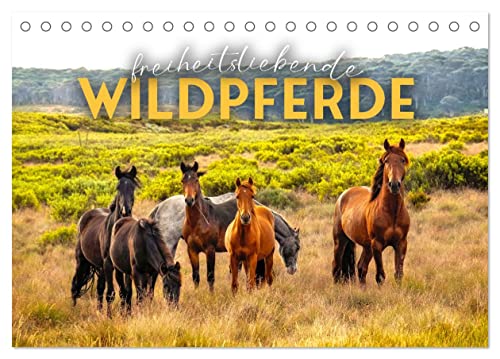 Freiheitsliebende Wildpferde (Tischkalender 2024 DIN A5 quer), CALVENDO Monatskalender
