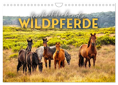 Freiheitsliebende Wildpferde (Wandkalender 2024 DIN A4 quer), CALVENDO Monatskalender von CALVENDO