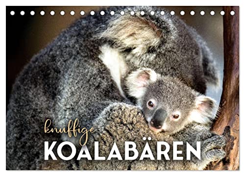 Knuffige Koalabären (Tischkalender 2024 DIN A5 quer), CALVENDO Monatskalender