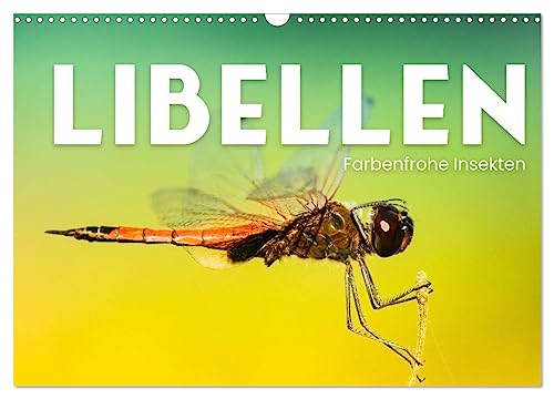 Libellen - Farbenfrohe Insekten (Wandkalender 2024 DIN A3 quer), CALVENDO Monatskalender von CALVENDO