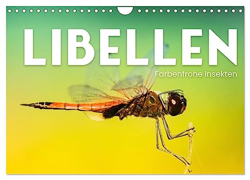 Libellen - Farbenfrohe Insekten (Wandkalender 2024 DIN A4 quer), CALVENDO Monatskalender von CALVENDO