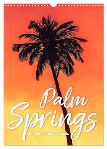 Palm Springs - Immer der Sonne nach. (Wandkalender 2025 DIN A3 hoch), CALVENDO Monatskalender: Der Sonne hinterher. von CALVENDO