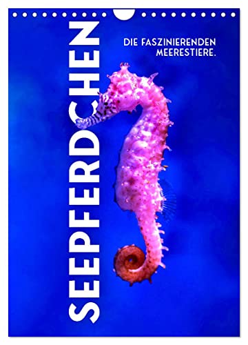 Seepferdchen - Die faszinierende Meerestiere. (Wandkalender 2024 DIN A4 hoch), CALVENDO Monatskalender