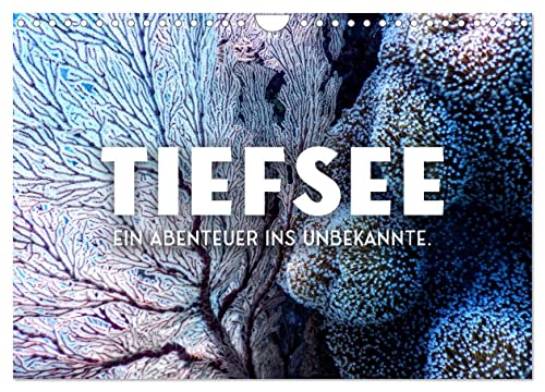 Tiefsee - Ein Abenteuer ins Unbekannte. (Wandkalender 2024 DIN A4 quer), CALVENDO Monatskalender von CALVENDO