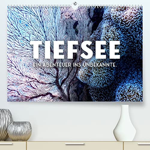 Tiefsee - Ein Abenteuer ins Unbekannte. (hochwertiger Premium Wandkalender 2024 DIN A2 quer), Kunstdruck in Hochglanz