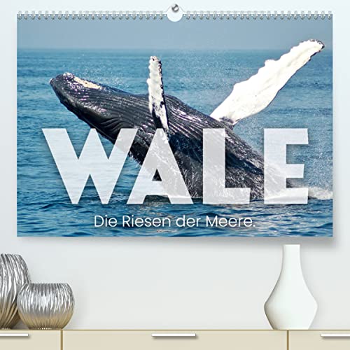Wale - Die Riesen der Meere. (hochwertiger Premium Wandkalender 2024 DIN A2 quer), Kunstdruck in Hochglanz