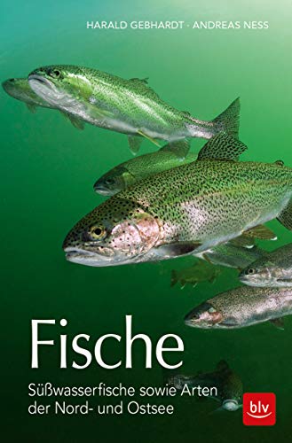 Fische: Süßwasserfische sowie Arten der Nord- und Ostsee von BLV Buchverlag GmbH & Co.